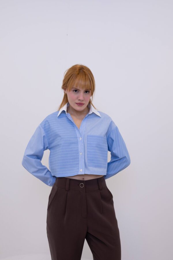 Camisa Azul Listras Curta